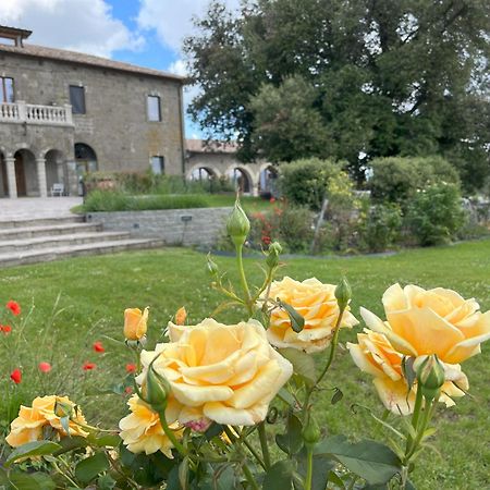 Villa Paladini Montefiascone Exterior photo