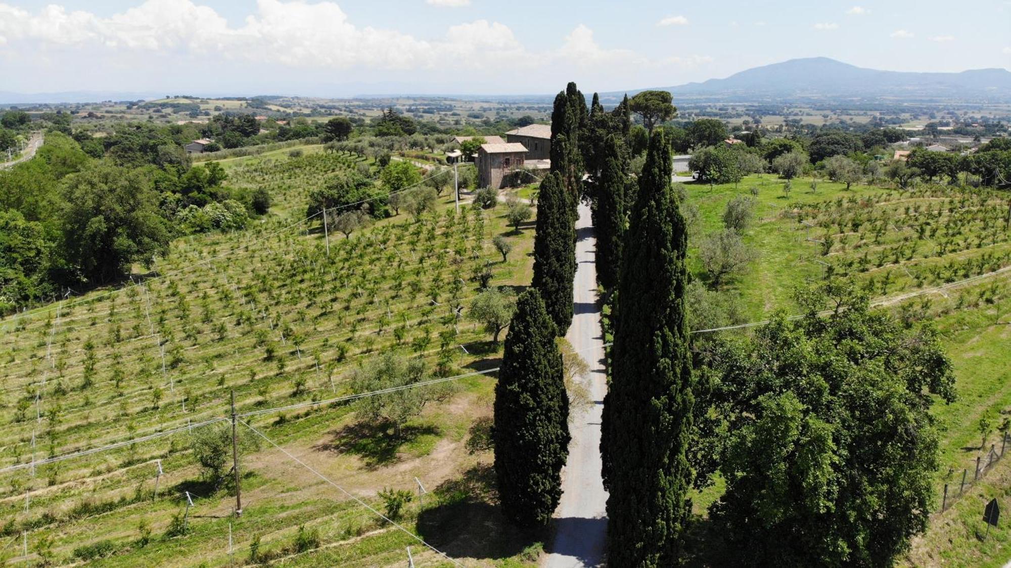 Villa Paladini Montefiascone Exterior photo