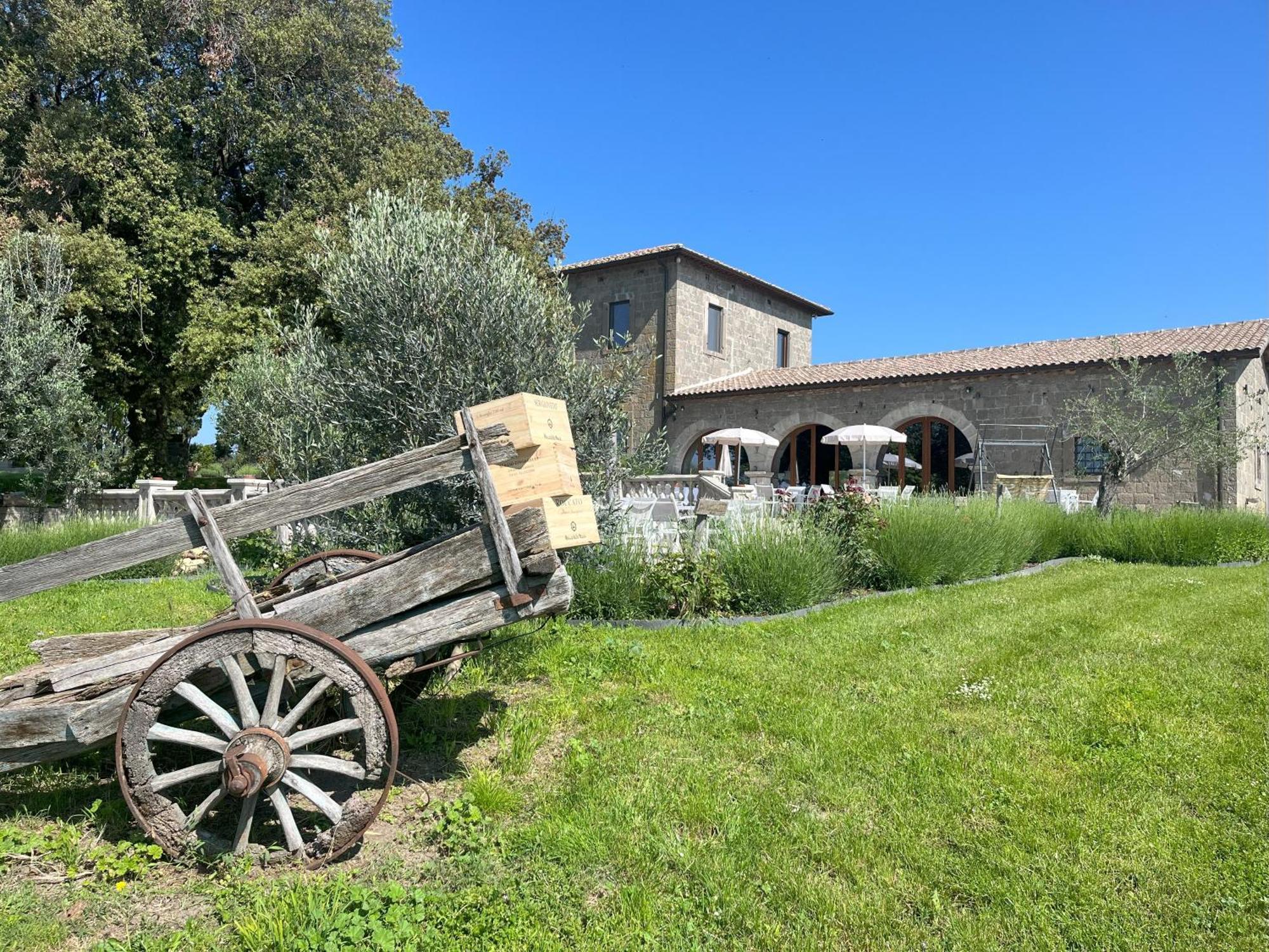 Villa Paladini Montefiascone Exterior photo